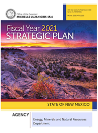 2021 Fiscal Year Strategic Plan Cover